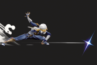 Sheik performing the move Needle Storm.